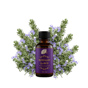 Anmaya Rosemary Essential Oil – 10 ml